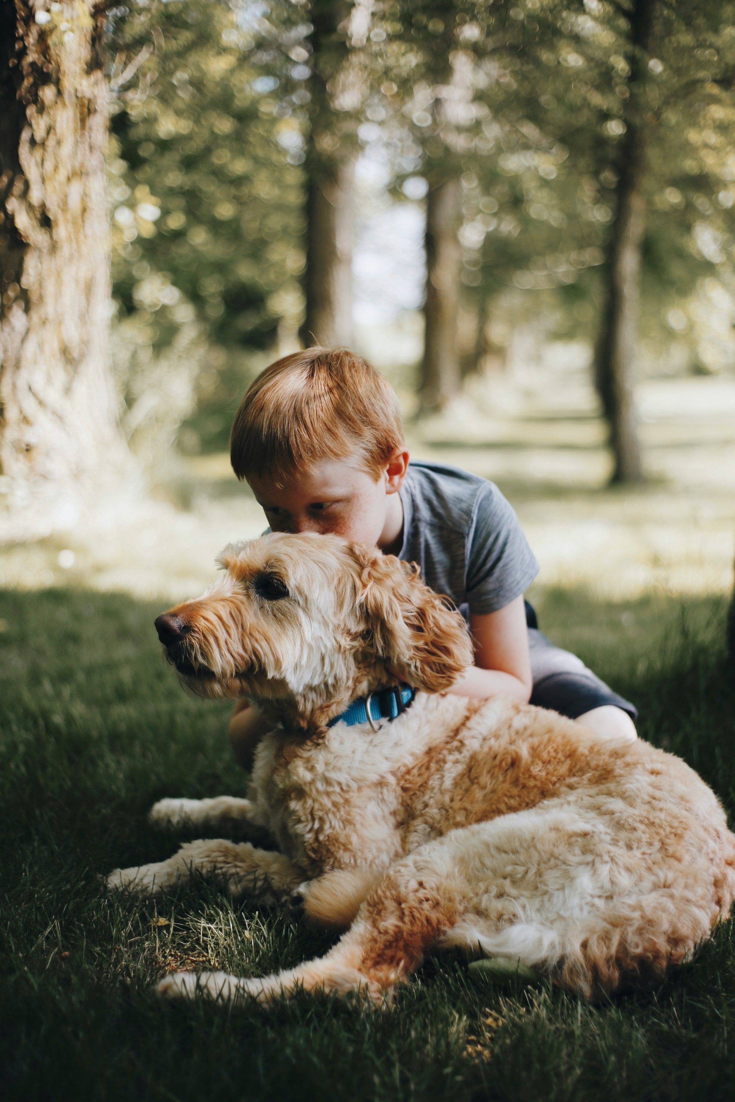 files/nathan-hanna-7hxC83Qcuwo-unsplash.jpg